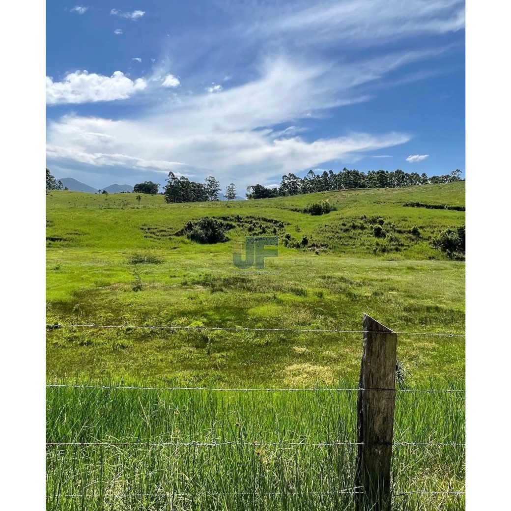 Essa fazenda em Imaruí é uma joia para quem busca investir na pecuária
