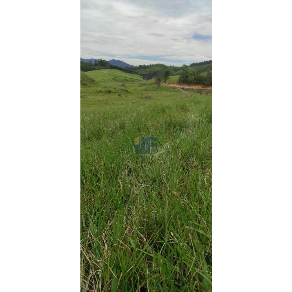 Essa fazenda em Imaruí é uma joia para quem busca investir na pecuária
