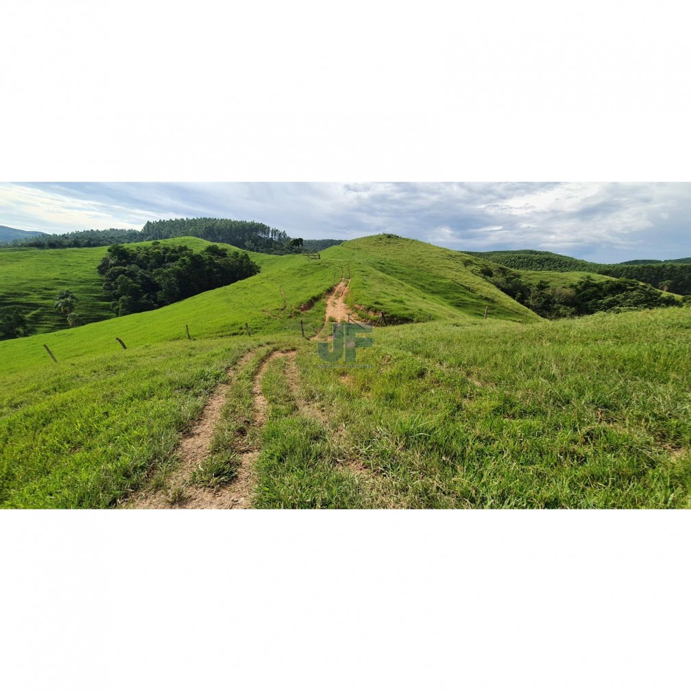 Fazenda à venda com 2 quartos, 640000m² - Foto 11