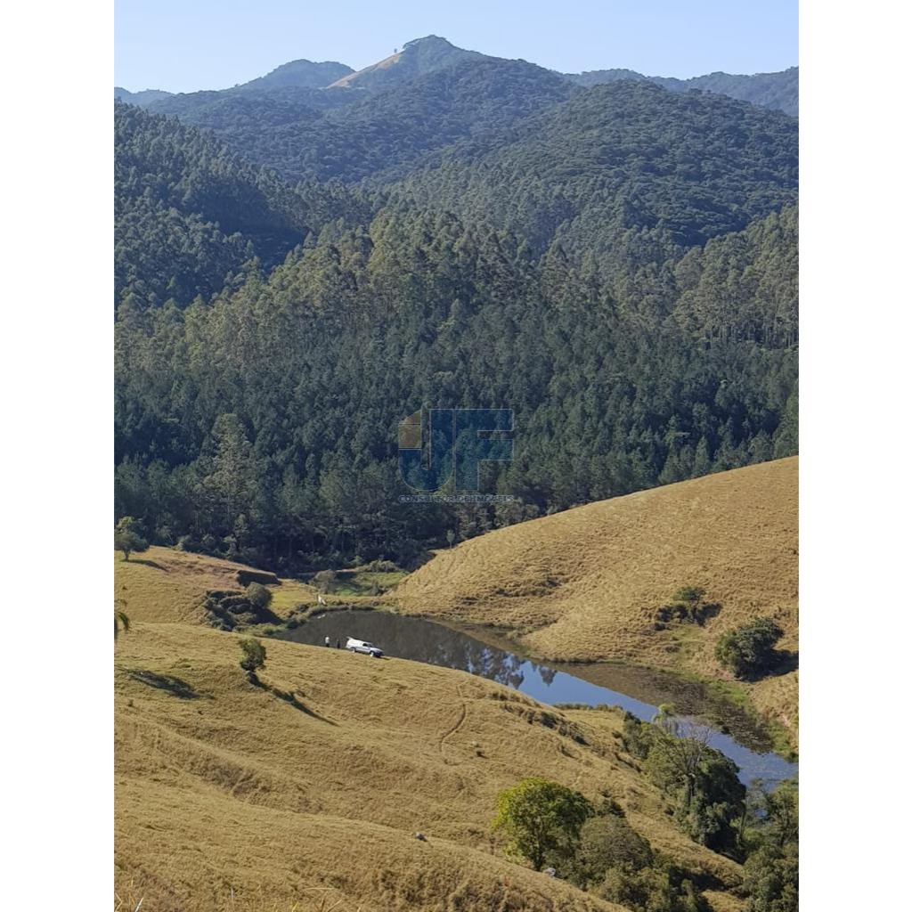 Fazenda à venda com 2 quartos, 640000m² - Foto 19