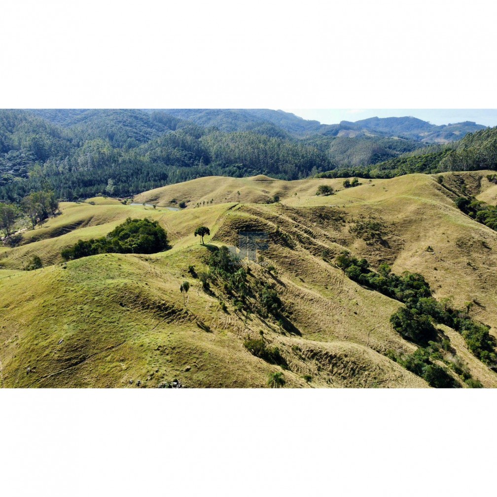 Fazenda à venda com 2 quartos, 640000m² - Foto 24