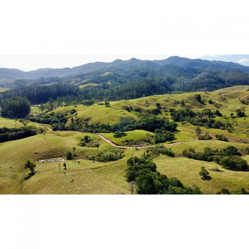 Fazenda à venda com 2 quartos, 640000m² - Foto 25