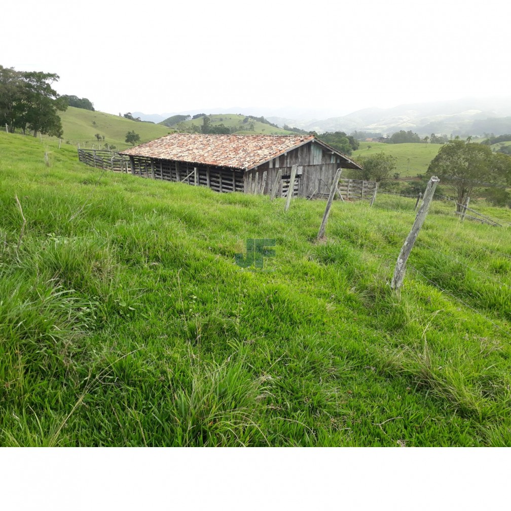 Fazenda à venda com 2 quartos, 640000m² - Foto 3