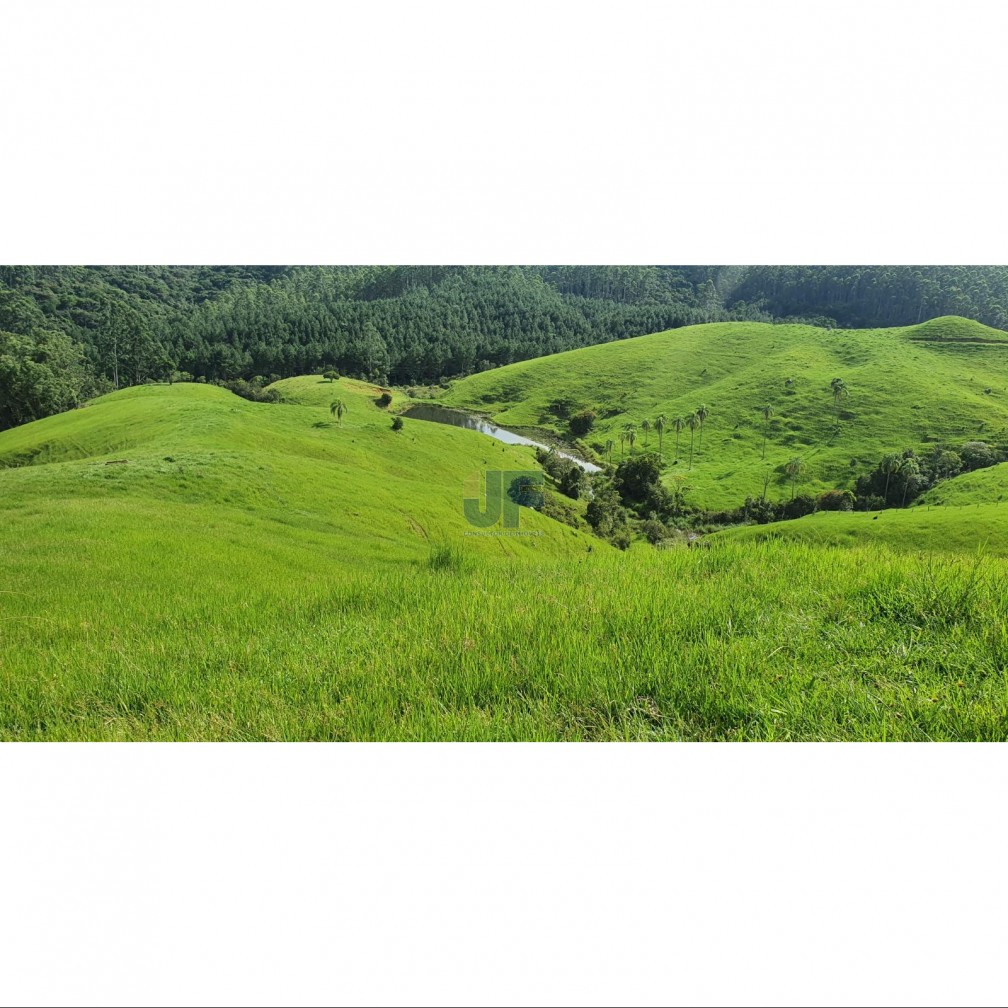 Fazenda à venda com 2 quartos, 640000m² - Foto 7