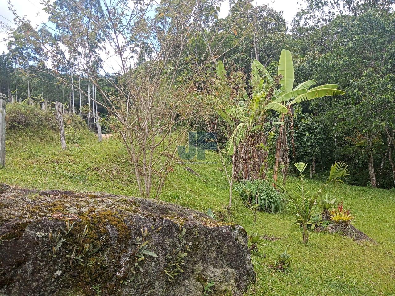 Fazenda à venda, 20000m² - Foto 15