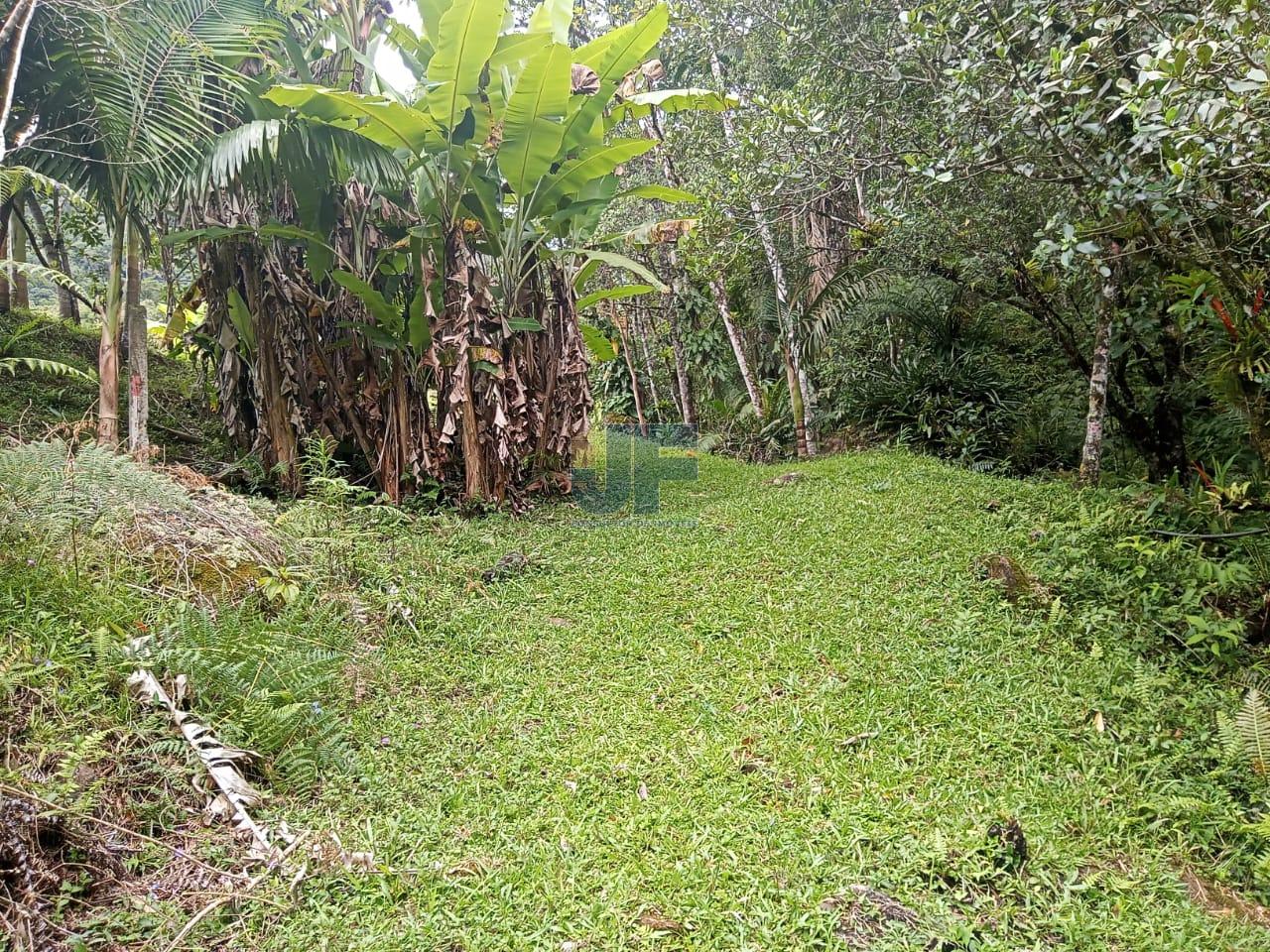 Fazenda à venda, 20000m² - Foto 17