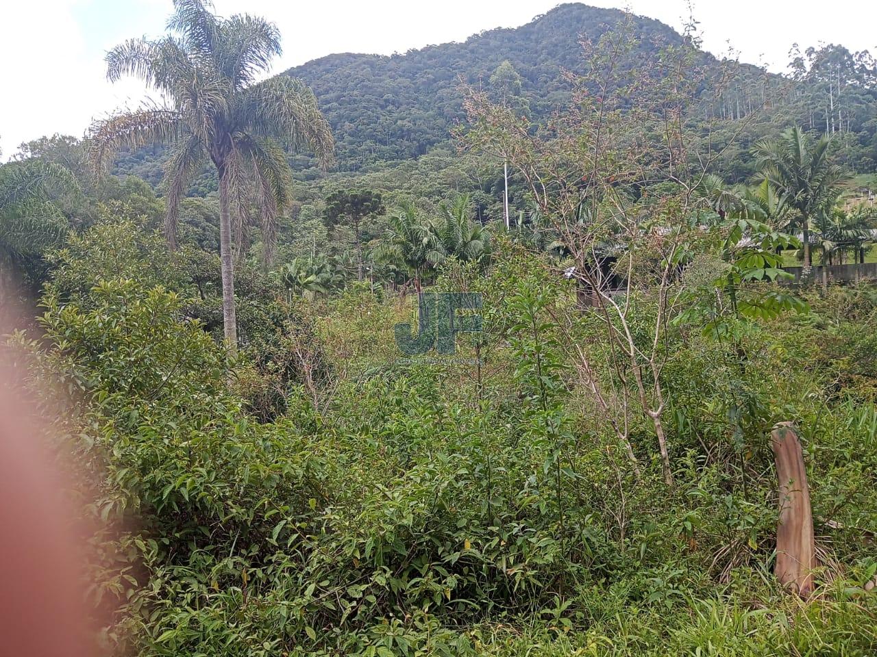 Fazenda à venda, 20000m² - Foto 13