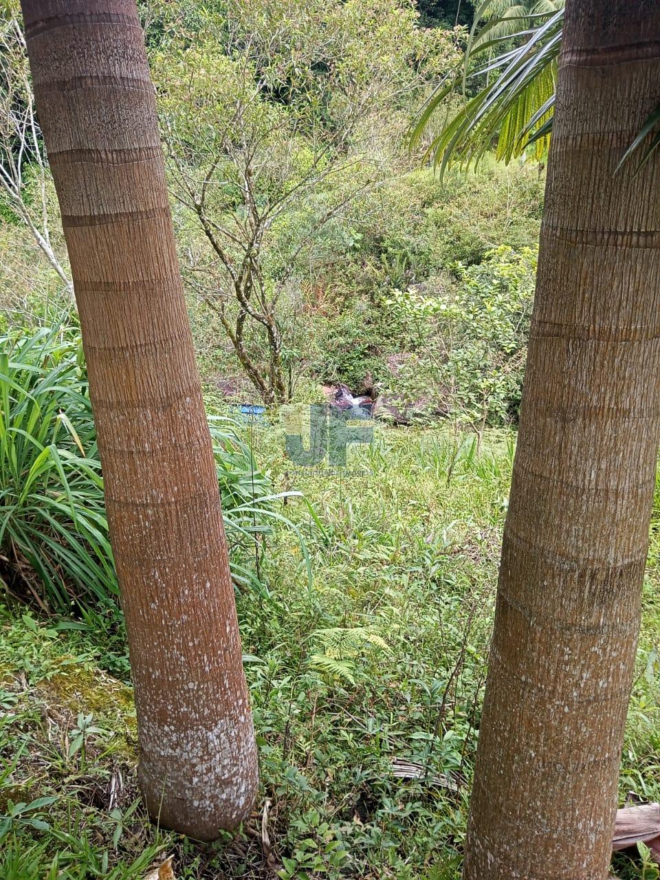 Fazenda à venda, 20000m² - Foto 28