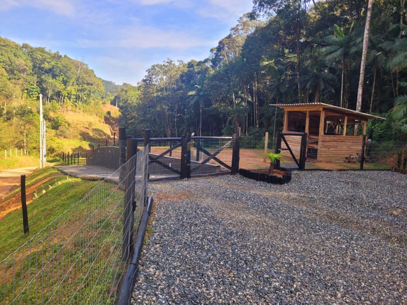Sítio, 2 quartos, 3 hectares - Foto 11