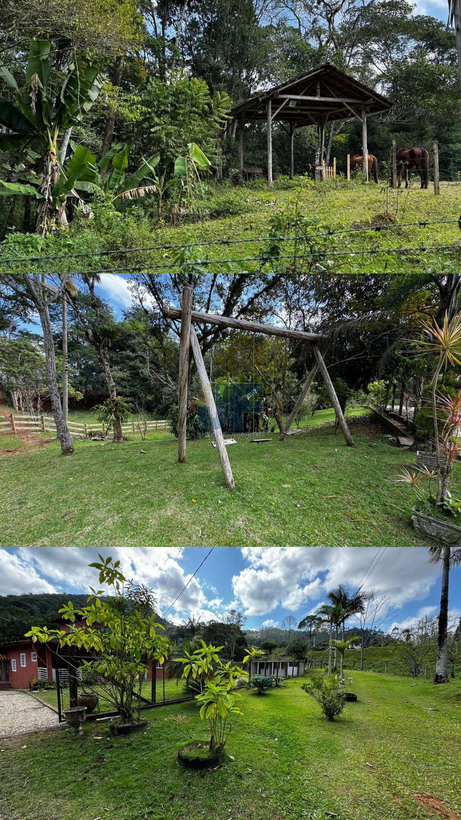 Fazenda à venda com 3 quartos, 3200m² - Foto 3