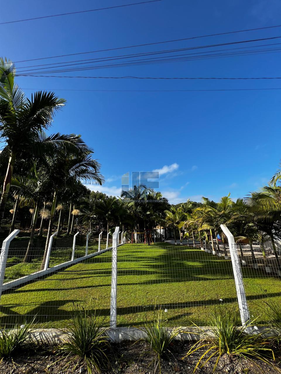 Fazenda à venda com 2 quartos, 3900m² - Foto 3