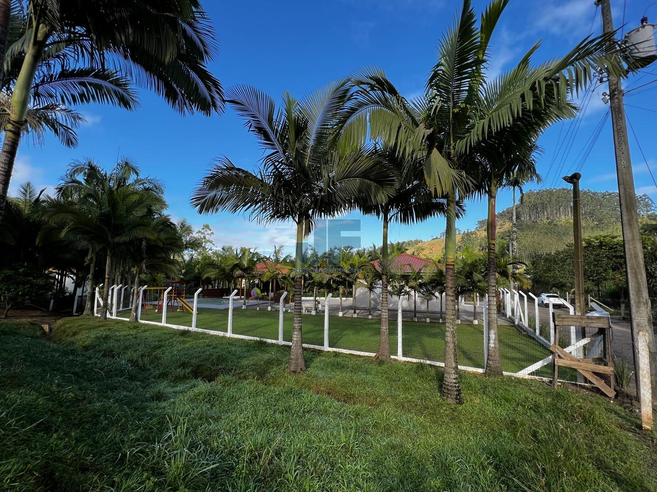 Fazenda à venda com 2 quartos, 3900m² - Foto 6