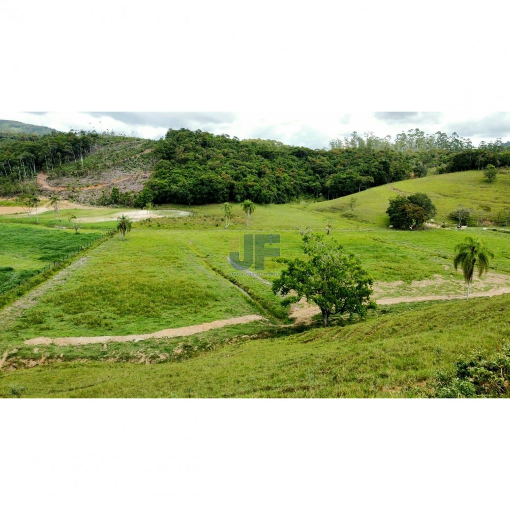 Fazenda à venda com 2 quartos, 60000m² - Foto 11