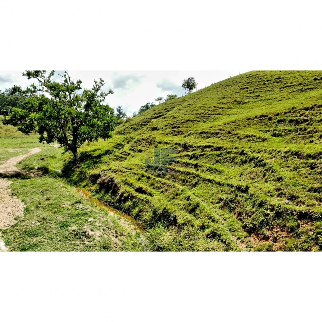 Fazenda à venda com 2 quartos, 60000m² - Foto 19