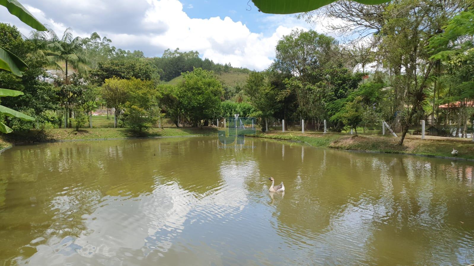 Fazenda à venda com 3 quartos, 6900m² - Foto 10