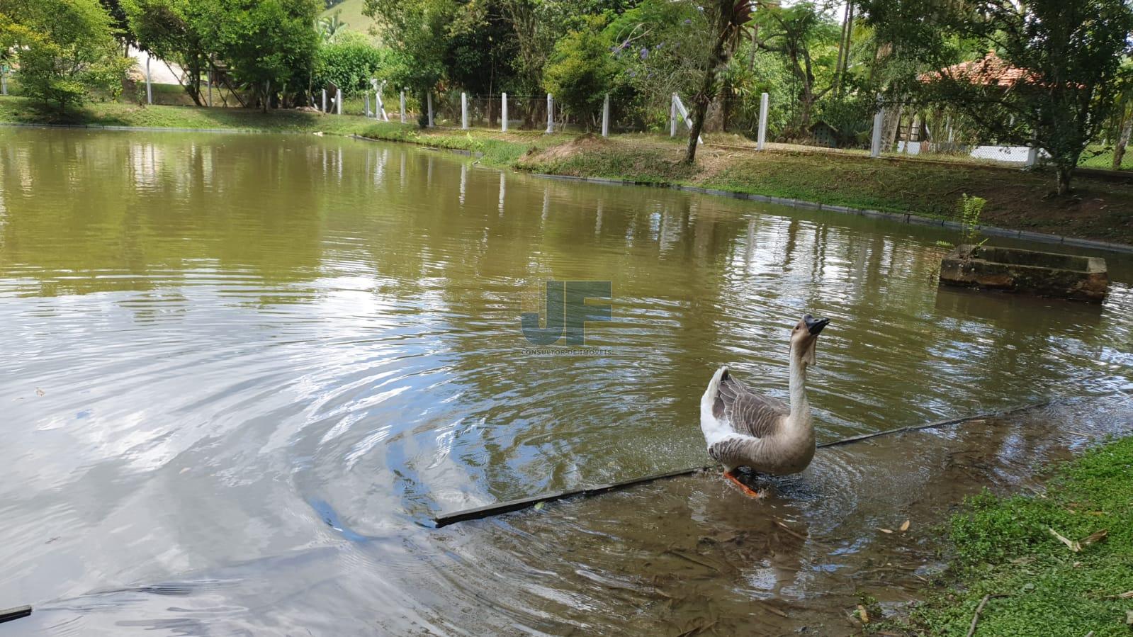 Fazenda à venda com 3 quartos, 6900m² - Foto 21