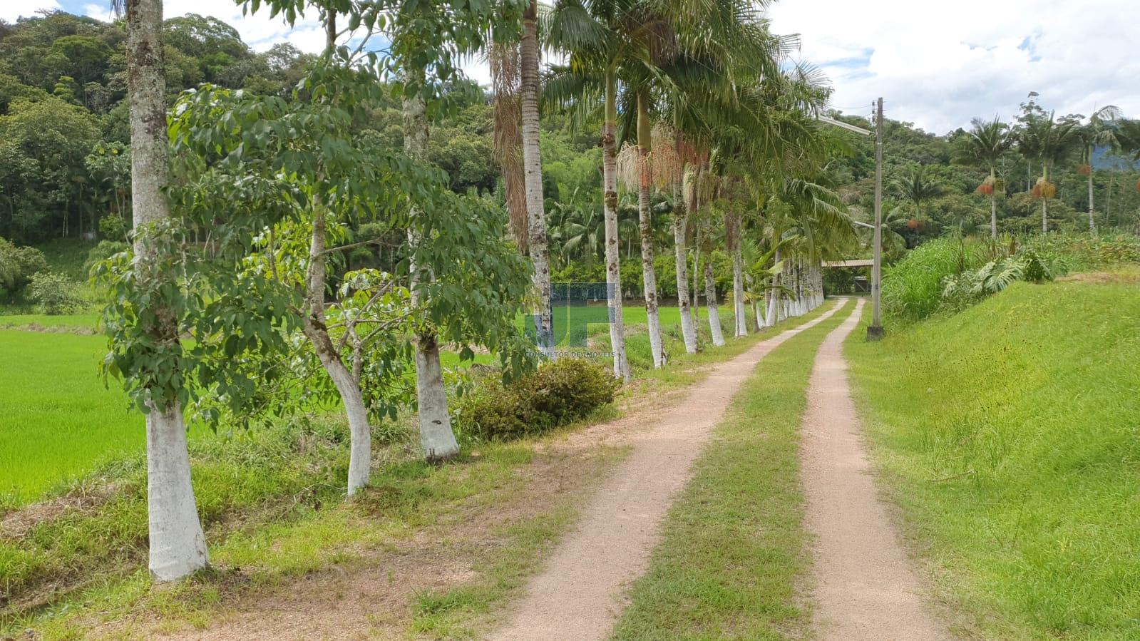 Fazenda à venda com 3 quartos, 6900m² - Foto 4