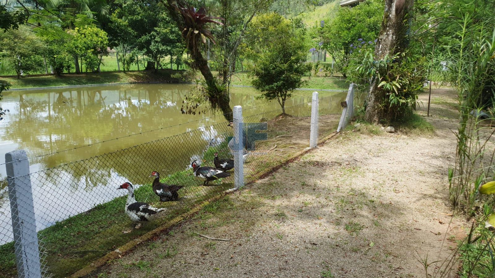 Fazenda à venda com 3 quartos, 6900m² - Foto 6