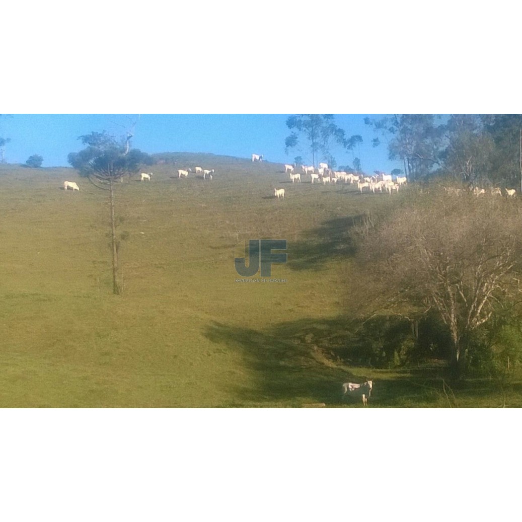 Excelente área com 71 hectares, bairro Caetés cidade de Camboriú.