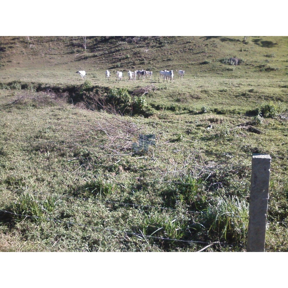 Excelente área com 71 hectares, bairro Caetés cidade de Camboriú.