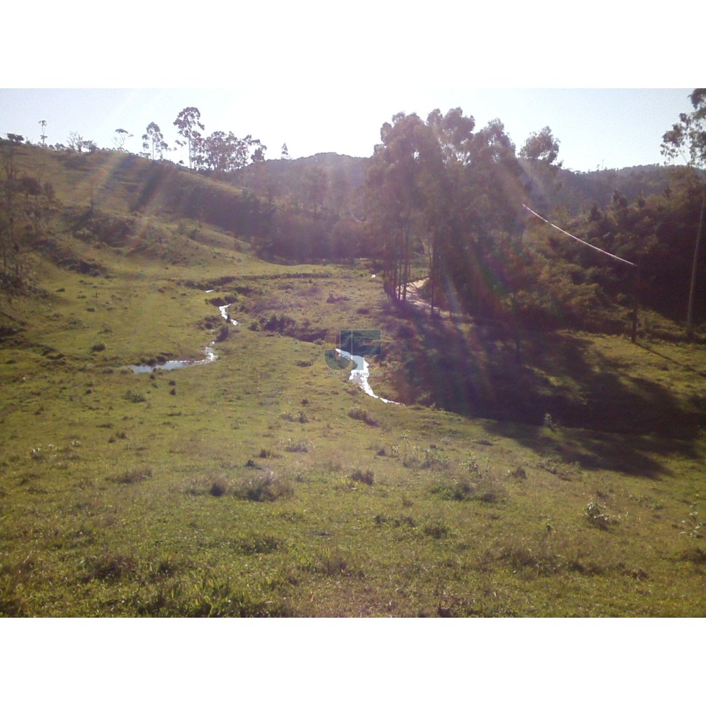 Excelente área com 71 hectares, bairro Caetés cidade de Camboriú.