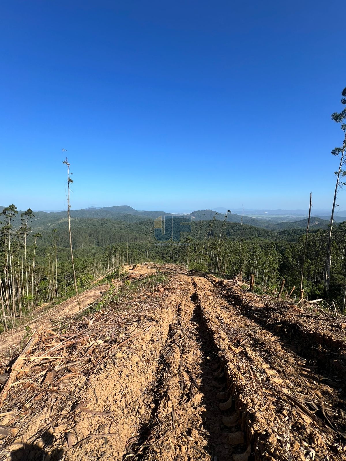Esse terreno rural no bairro Braço, em Camboriú, é uma excelente oportunidade.