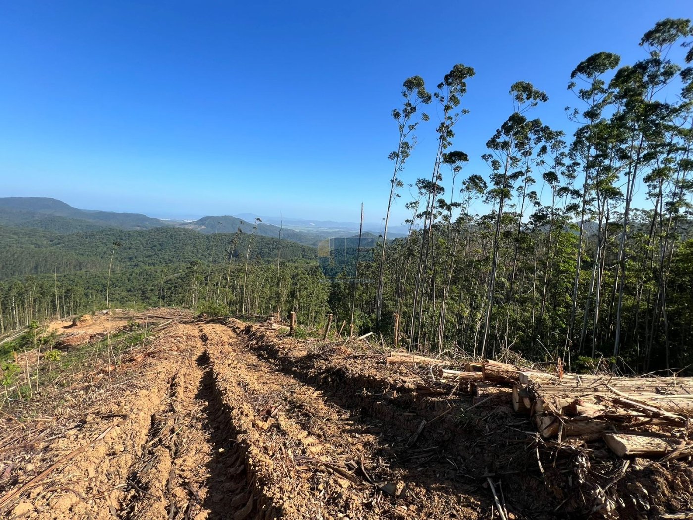 Esse terreno rural no bairro Braço, em Camboriú, é uma excelente oportunidade.