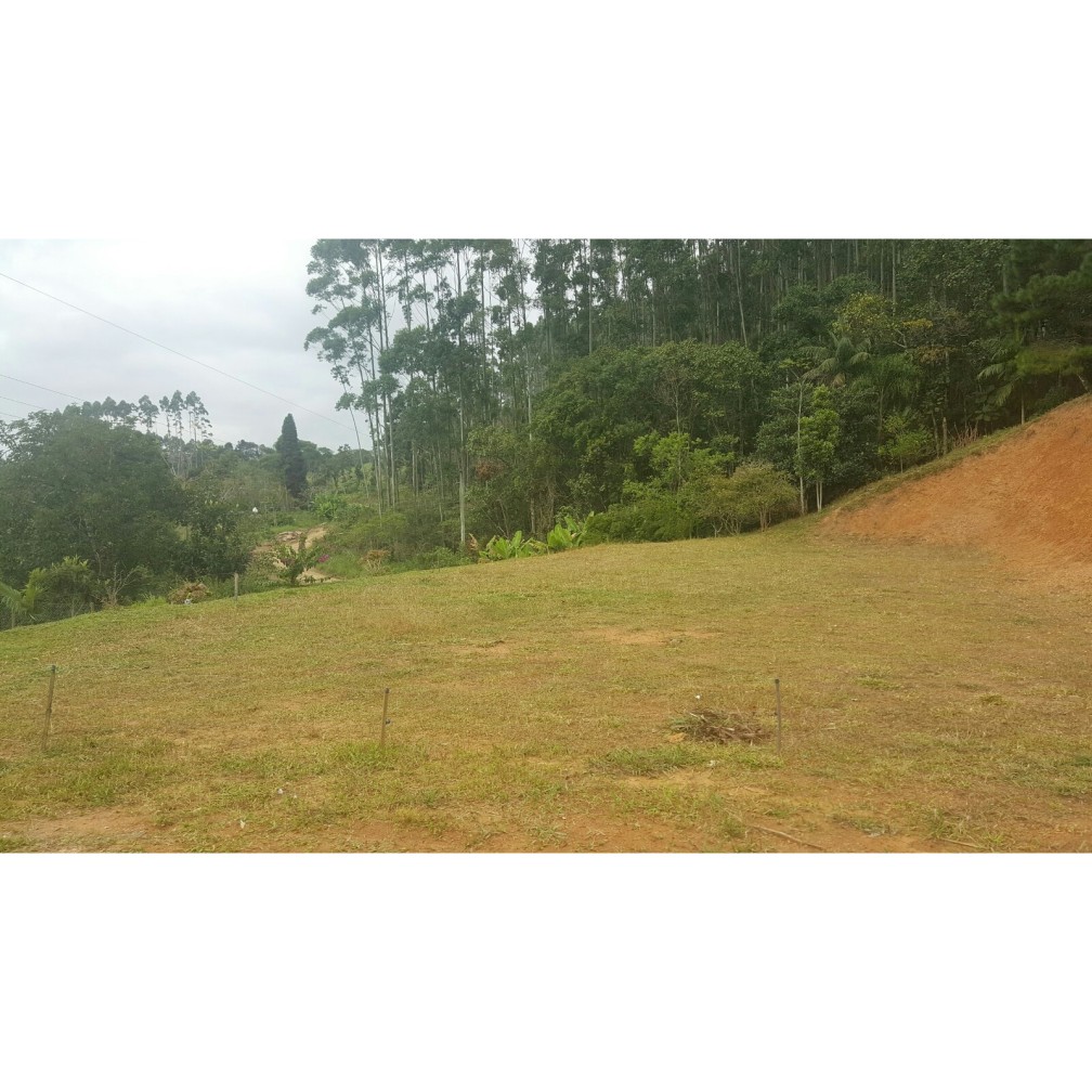 Terreno, 79 hectares - Foto 2