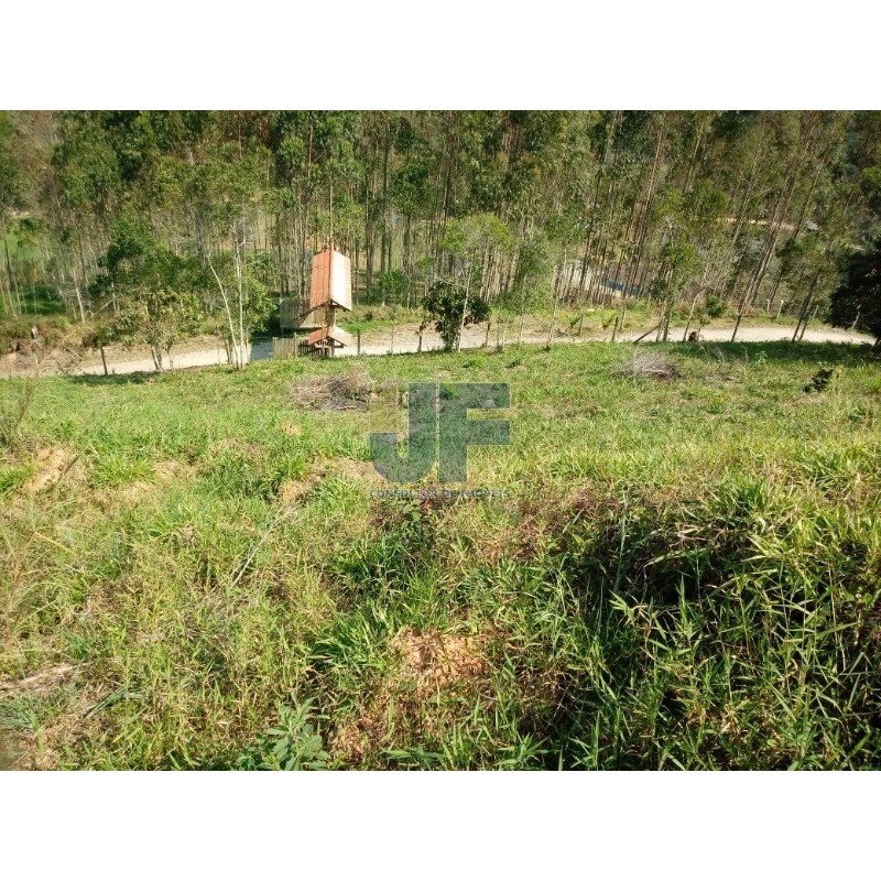 Excelente sitio na vila das Pedras em Camboriú. Possui 8.000 m² de área