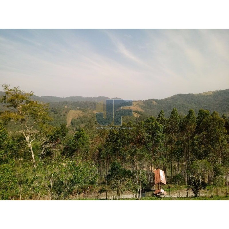 Excelente sitio na vila das Pedras em Camboriú. Possui 8.000 m² de área