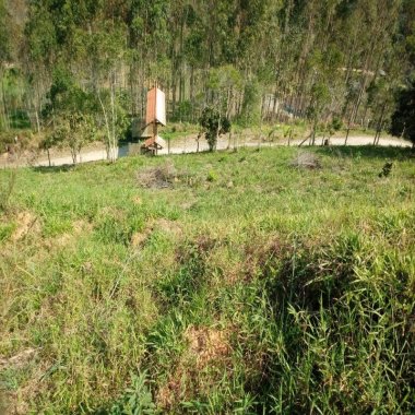 Excelente sitio na vila das Pedras em Camboriú. Possui 8.000 m² de área