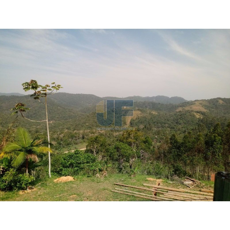 Excelente sitio na vila das Pedras em Camboriú. Possui 8.000 m² de área