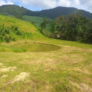 Sitio a venda e bairro Laranjeiras Luis Alves sc,  3.8 Hectares  100% aproveitável 