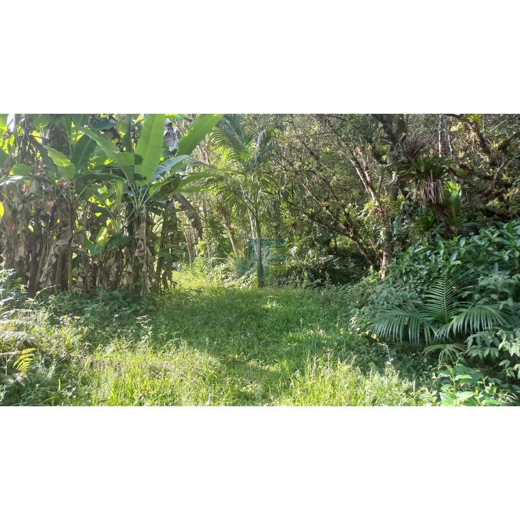 Sítio / Chácara 2 quartos para Venda no bairro Guarda Embau em Luiz Alves