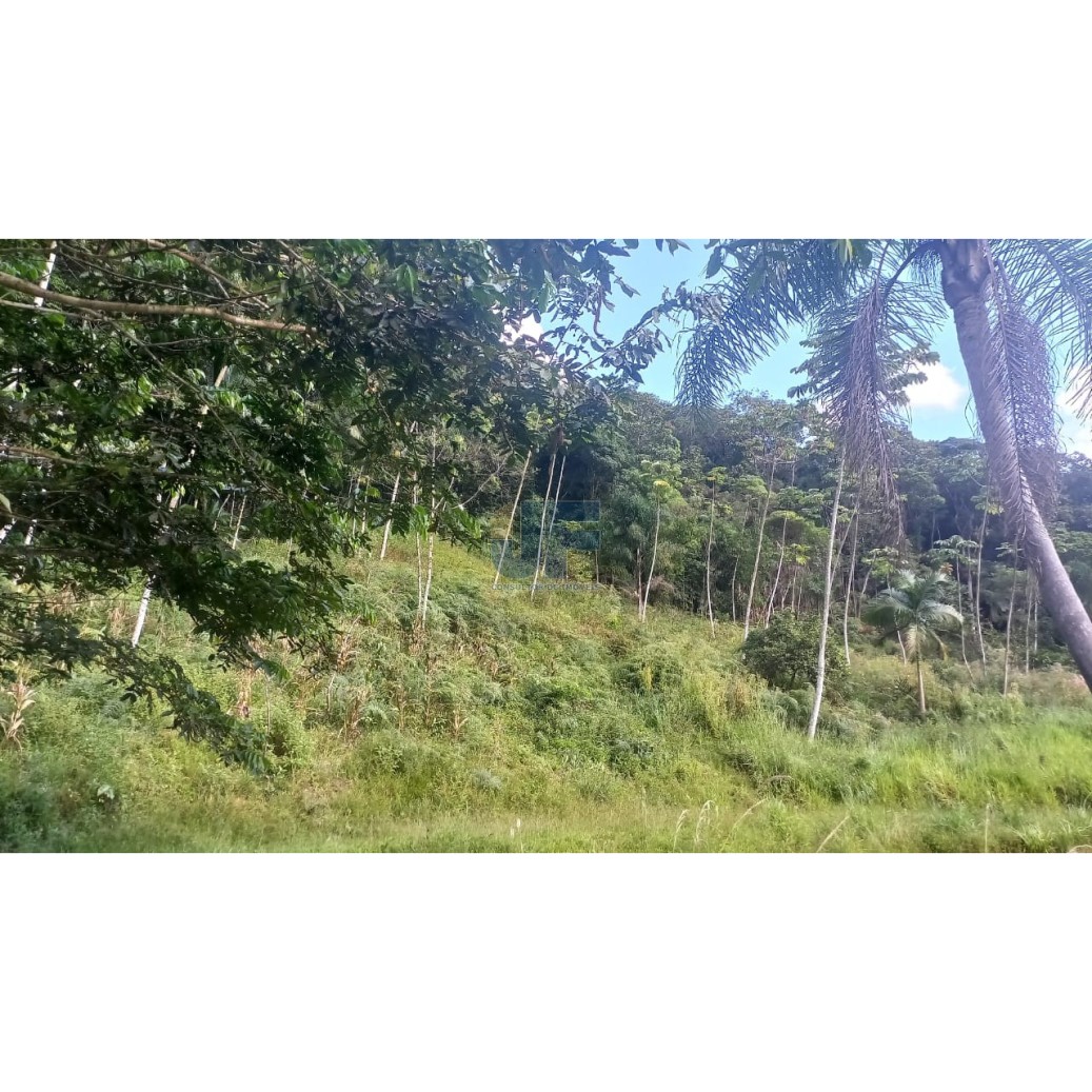 Sítio / Chácara 2 quartos para Venda no bairro Guarda Embau em Luiz Alves
