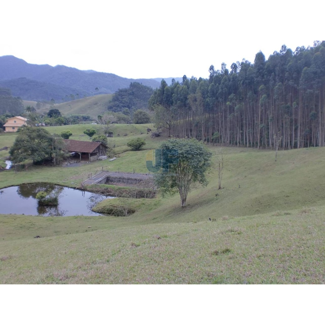 Sítio, 3 quartos, 17 hectares - Foto 1