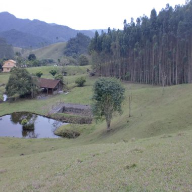 Sítio / Chácara 3 quartos para Venda no bairro Braço em Camboriú