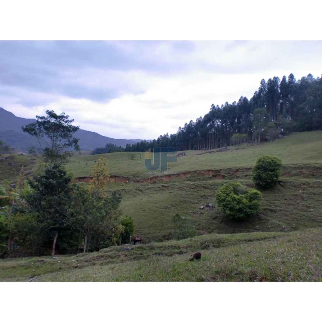 Sítio, 3 quartos, 17 hectares - Foto 9