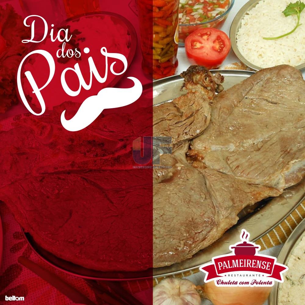 OPORTUNIDADE ÚNICA – Restaurante Tradicional à Venda na BR-277, Palmeira/PR