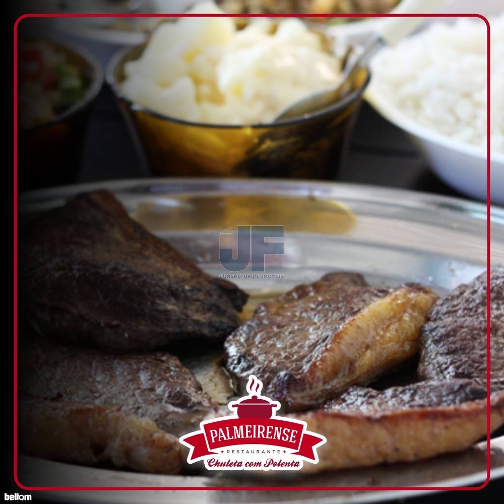 OPORTUNIDADE ÚNICA – Restaurante Tradicional à Venda na BR-277, Palmeira/PR