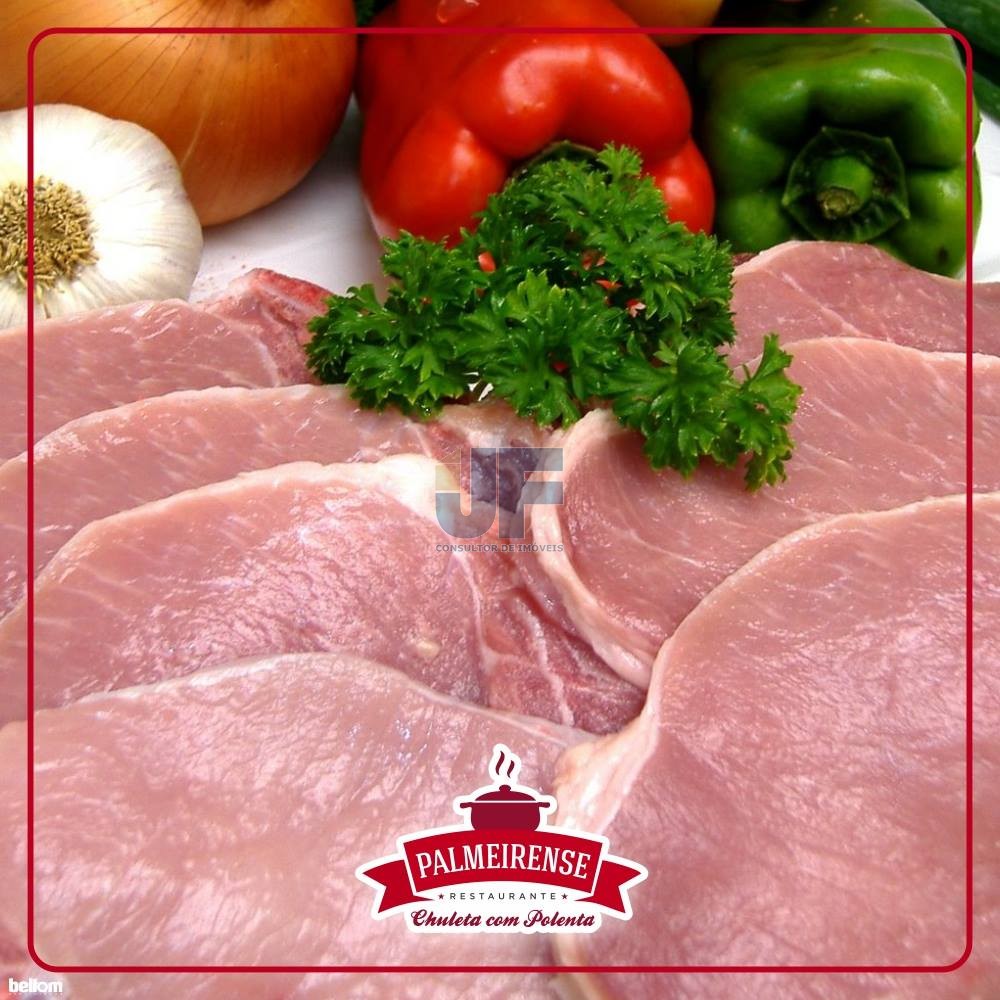 OPORTUNIDADE ÚNICA – Restaurante Tradicional à Venda na BR-277, Palmeira/PR