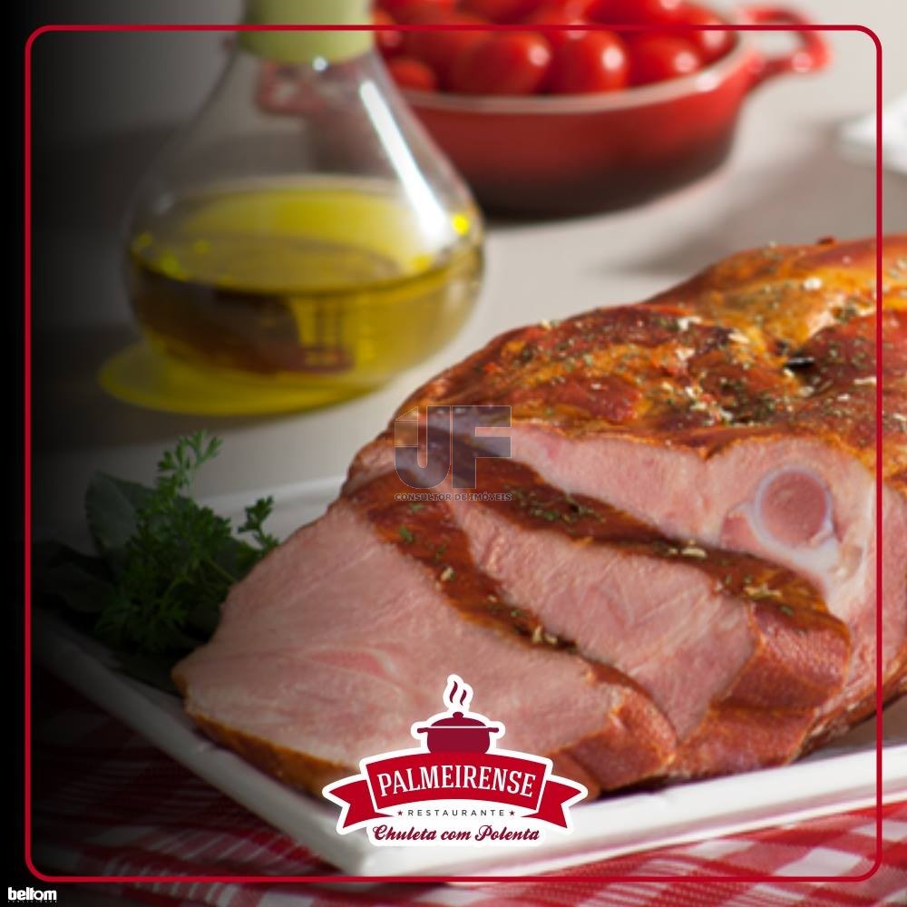 OPORTUNIDADE ÚNICA – Restaurante Tradicional à Venda na BR-277, Palmeira/PR