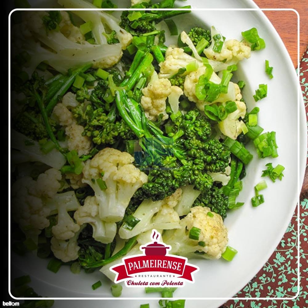 OPORTUNIDADE ÚNICA – Restaurante Tradicional à Venda na BR-277, Palmeira/PR