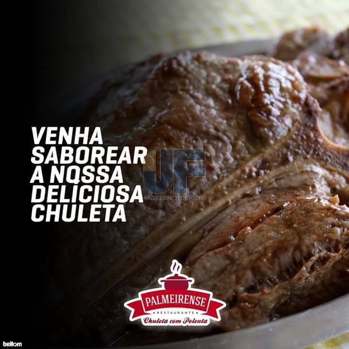 OPORTUNIDADE ÚNICA – Restaurante Tradicional à Venda na BR-277, Palmeira/PR