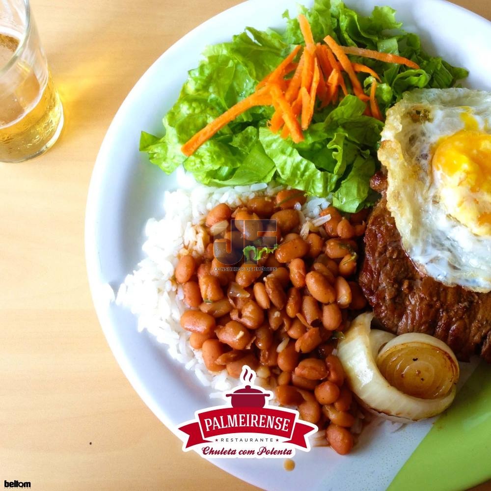 OPORTUNIDADE ÚNICA – Restaurante Tradicional à Venda na BR-277, Palmeira/PR