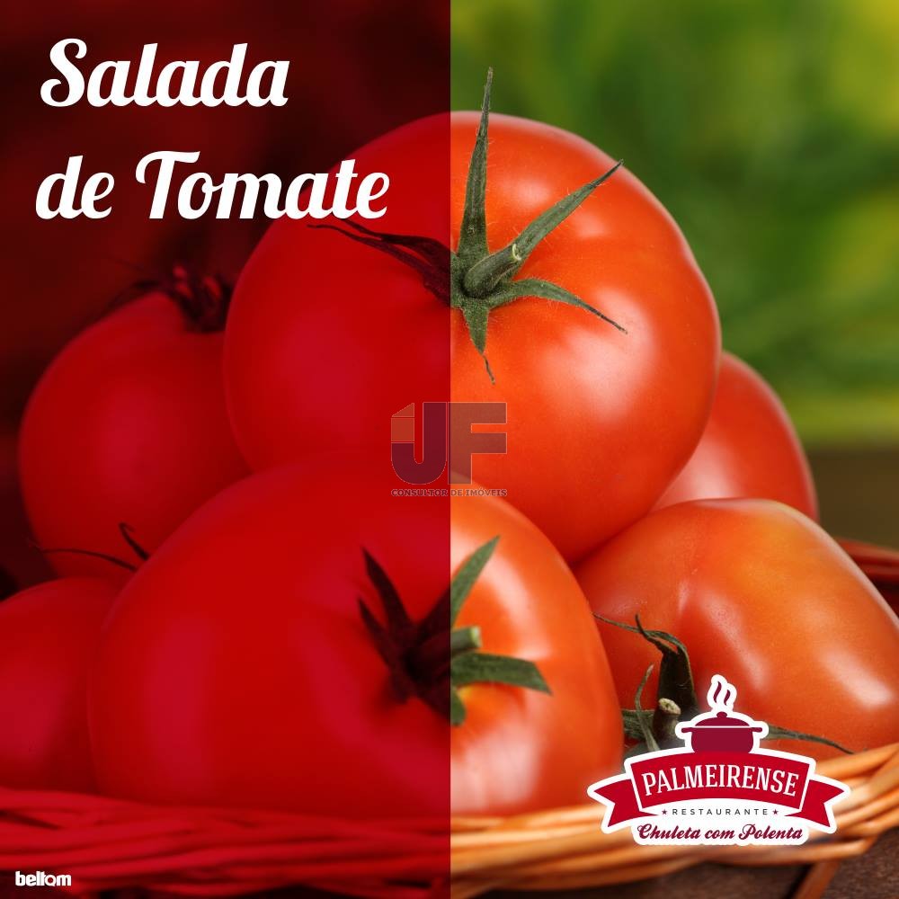 OPORTUNIDADE ÚNICA – Restaurante Tradicional à Venda na BR-277, Palmeira/PR