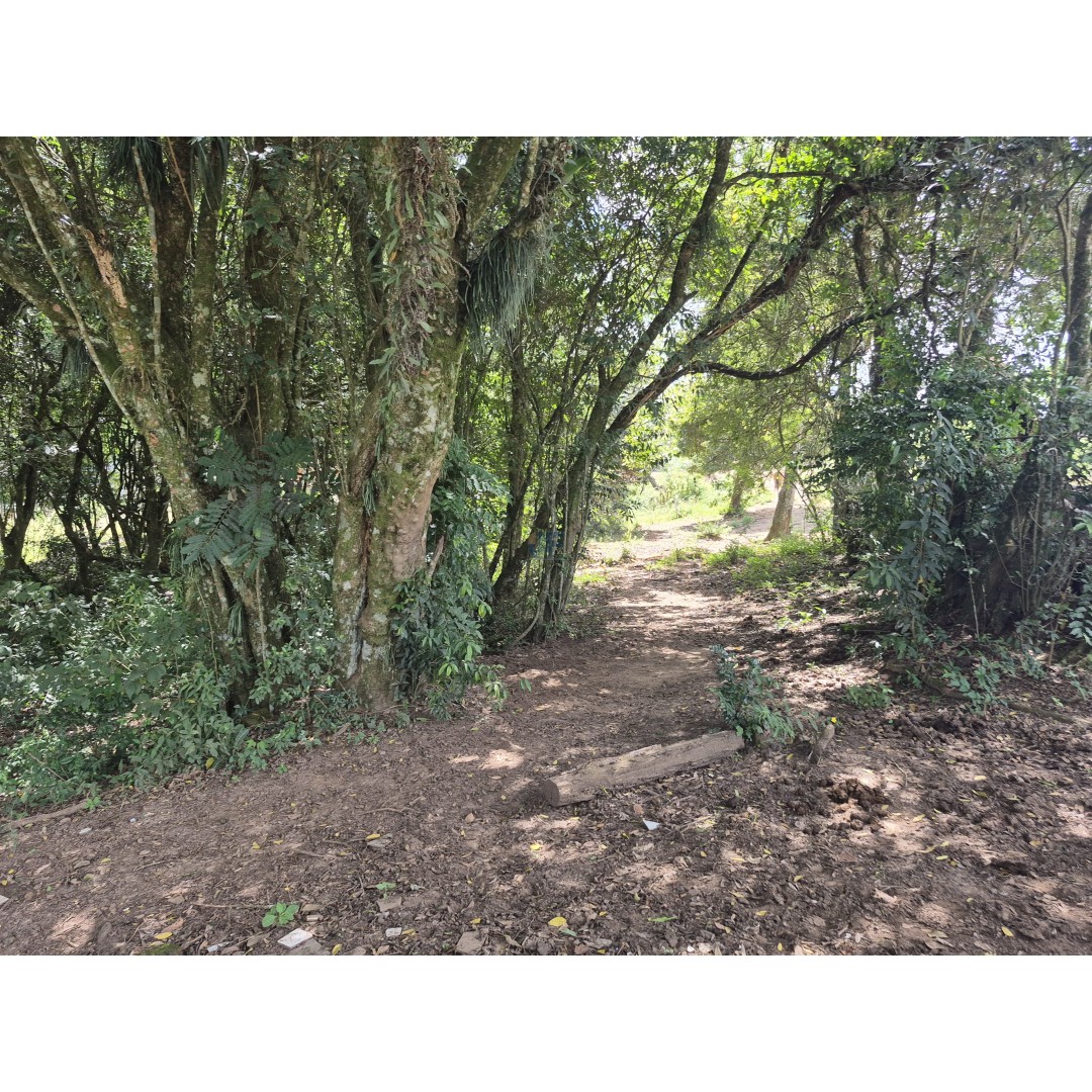 Restaurante à Venda – Palmeira/PR Localização privilegiada: Rodovia BR‑277