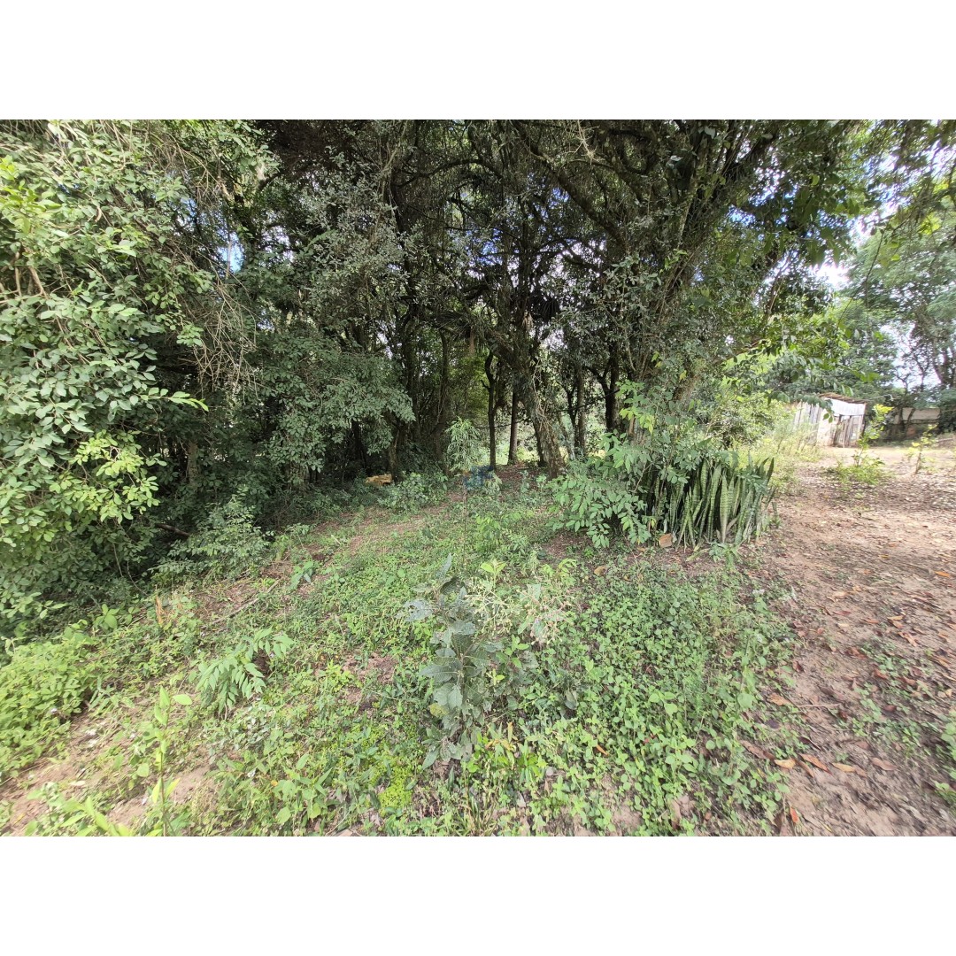 Restaurante à Venda – Palmeira/PR Localização privilegiada: Rodovia BR‑277