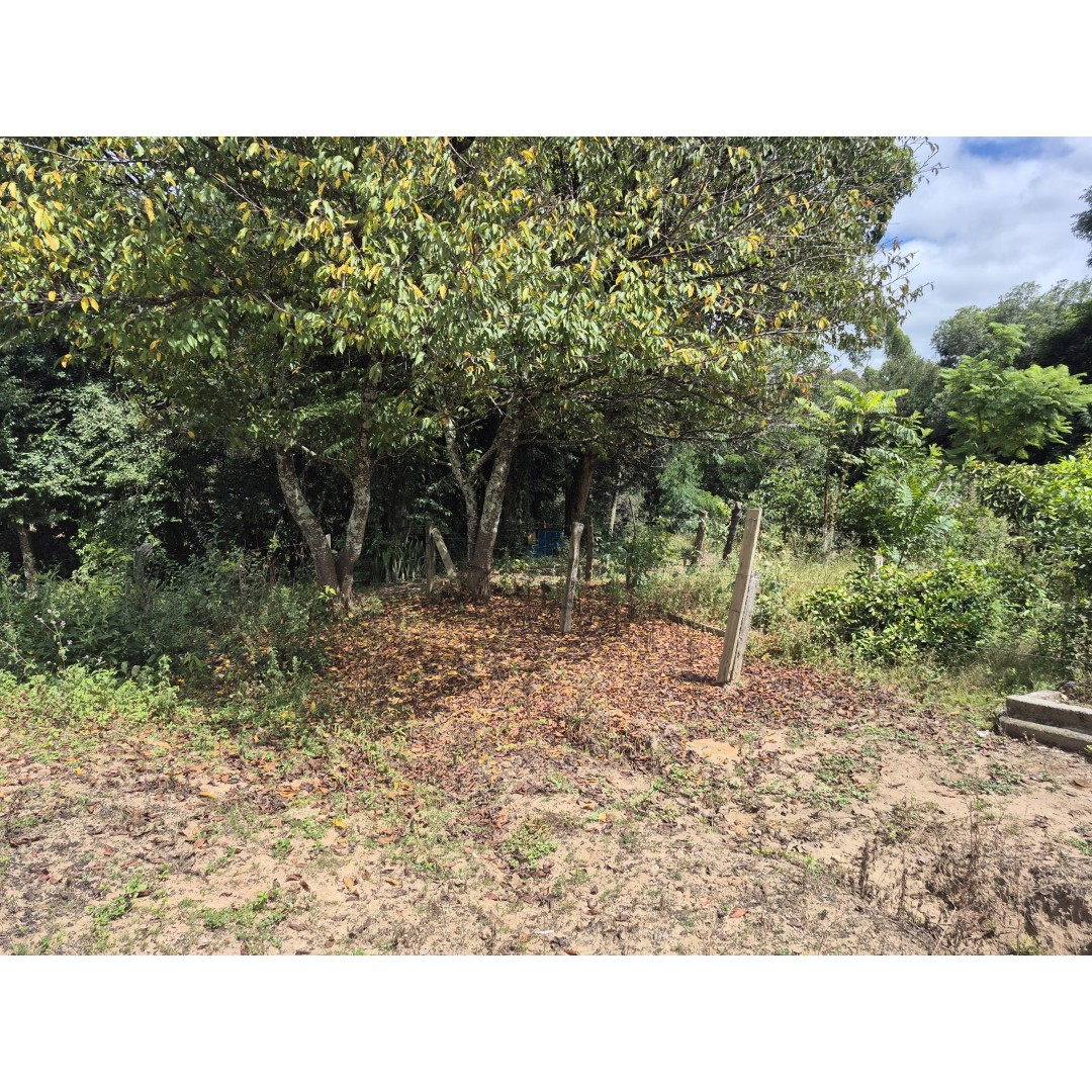 Restaurante à Venda – Palmeira/PR Localização privilegiada: Rodovia BR‑277