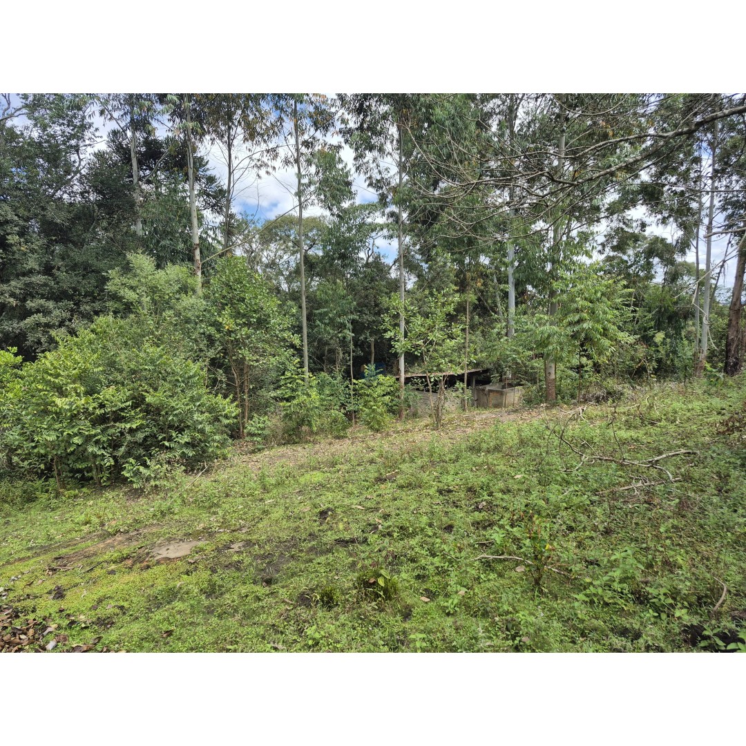 Restaurante à Venda – Palmeira/PR Localização privilegiada: Rodovia BR‑277